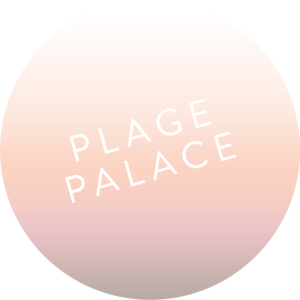 plage palace nettoyage vitre Montpellier